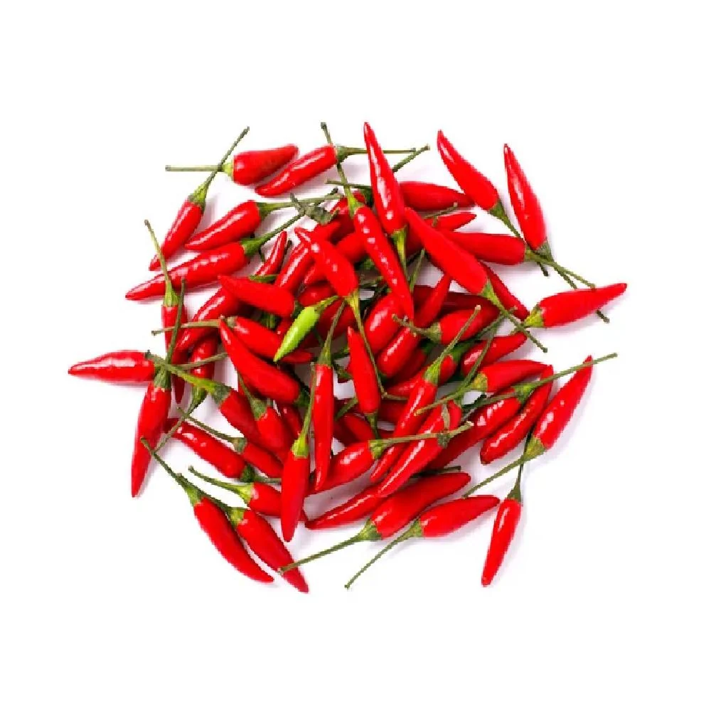 Red Chilli